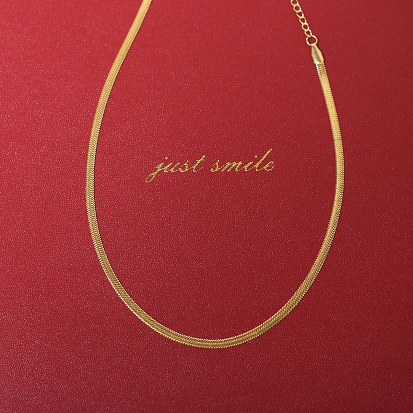 Snake flat and Trace Chain Necklace