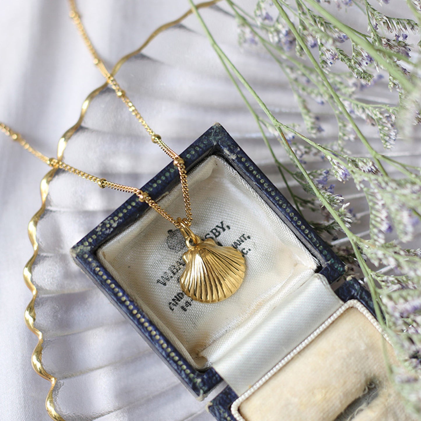 Seashell Pendant Necklace