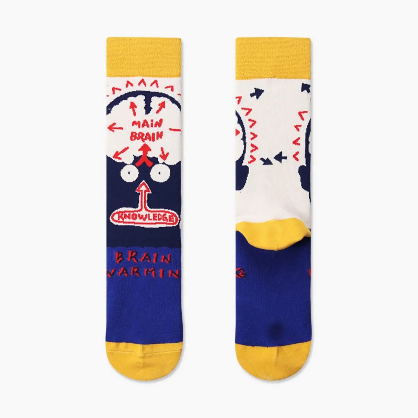 Main Brain Knowledge Socks - Pantsnsox
