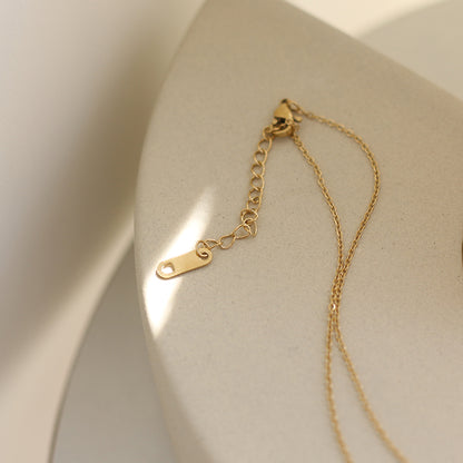 Charming Gold-Plated Block Lion Pendant Necklace